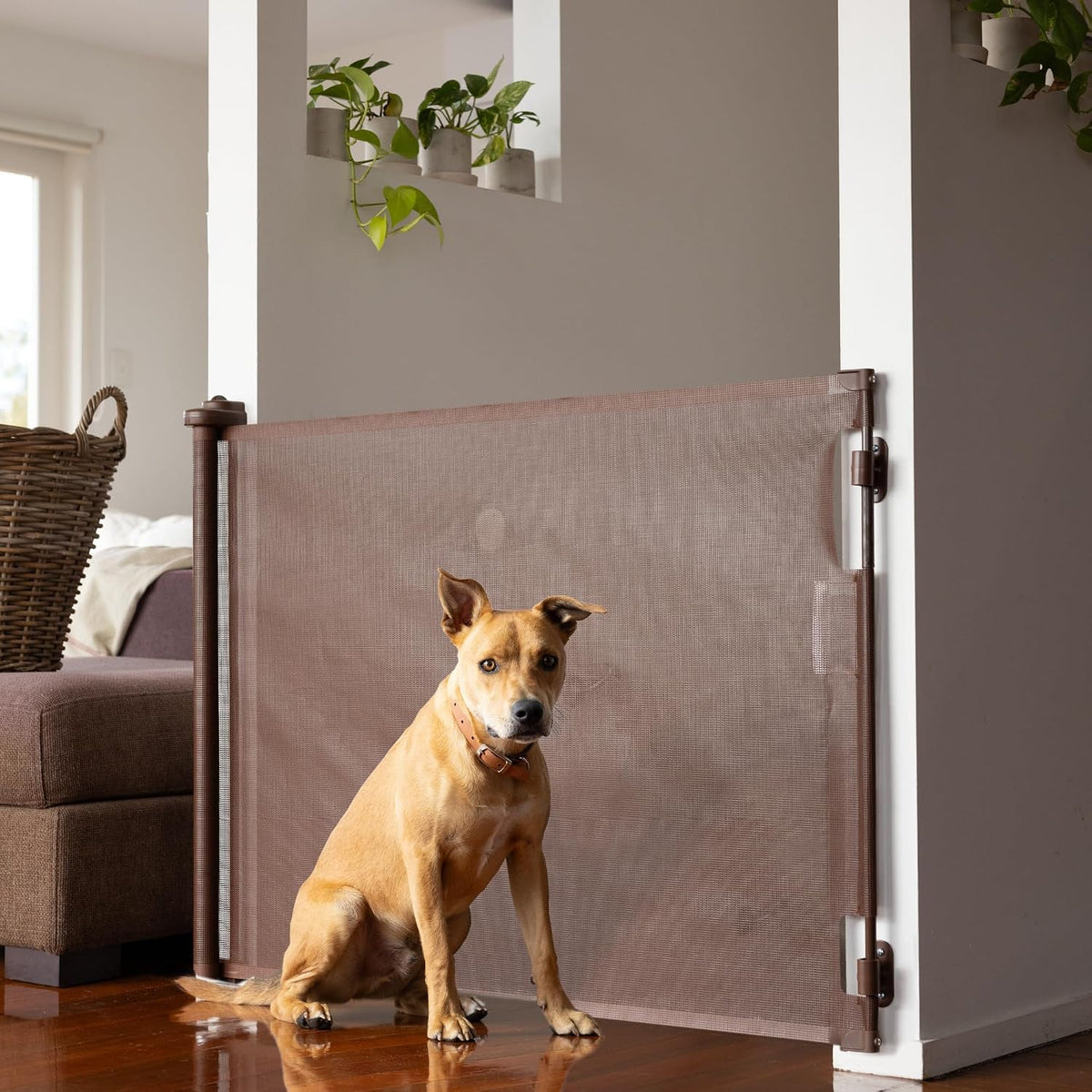 Retractable Baby Gate - Mesh Dog & Pet Gate for Stairs