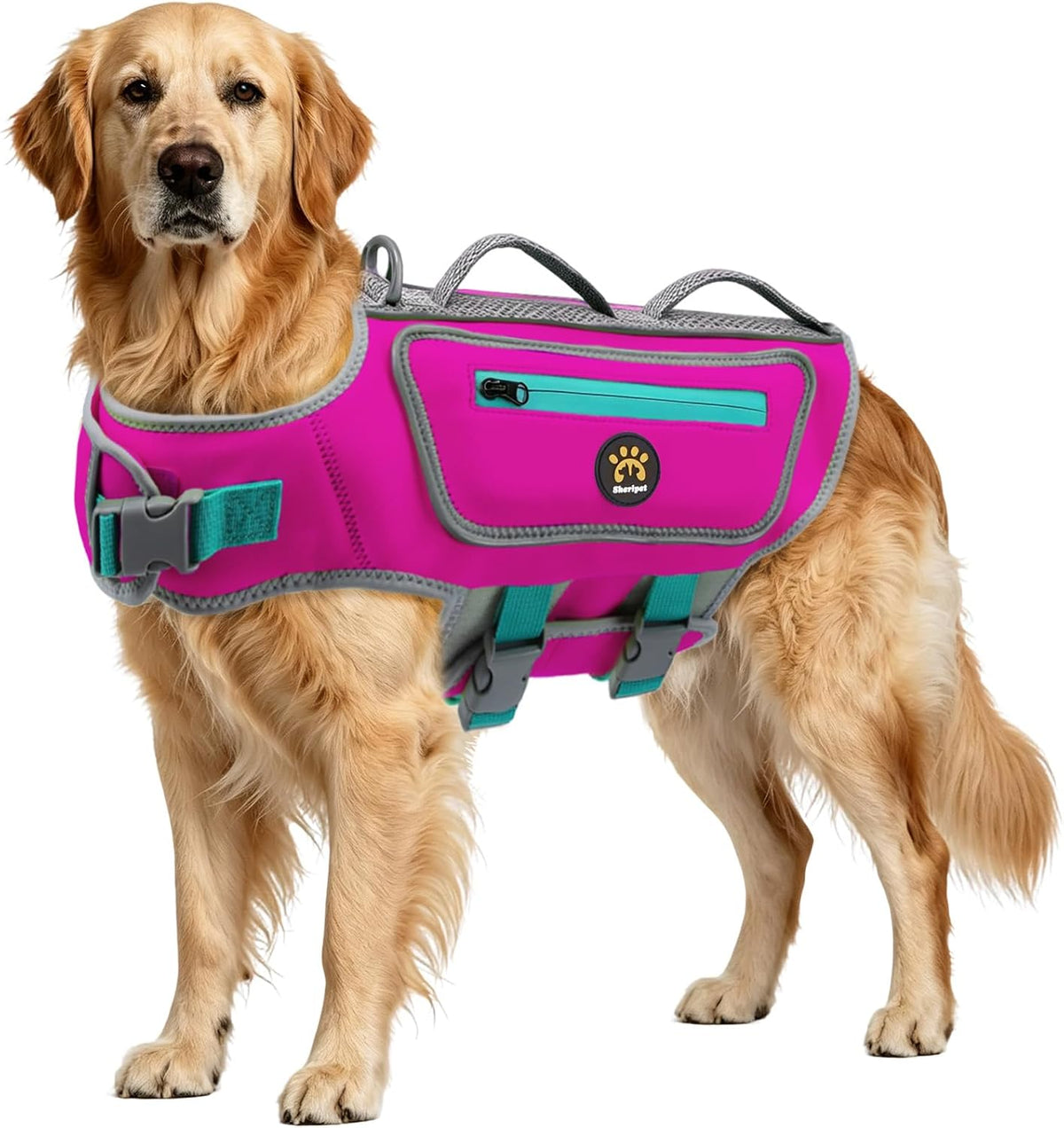 Dog Life Jacket, Good Visibility Pet Swimming Vest for Boating XL