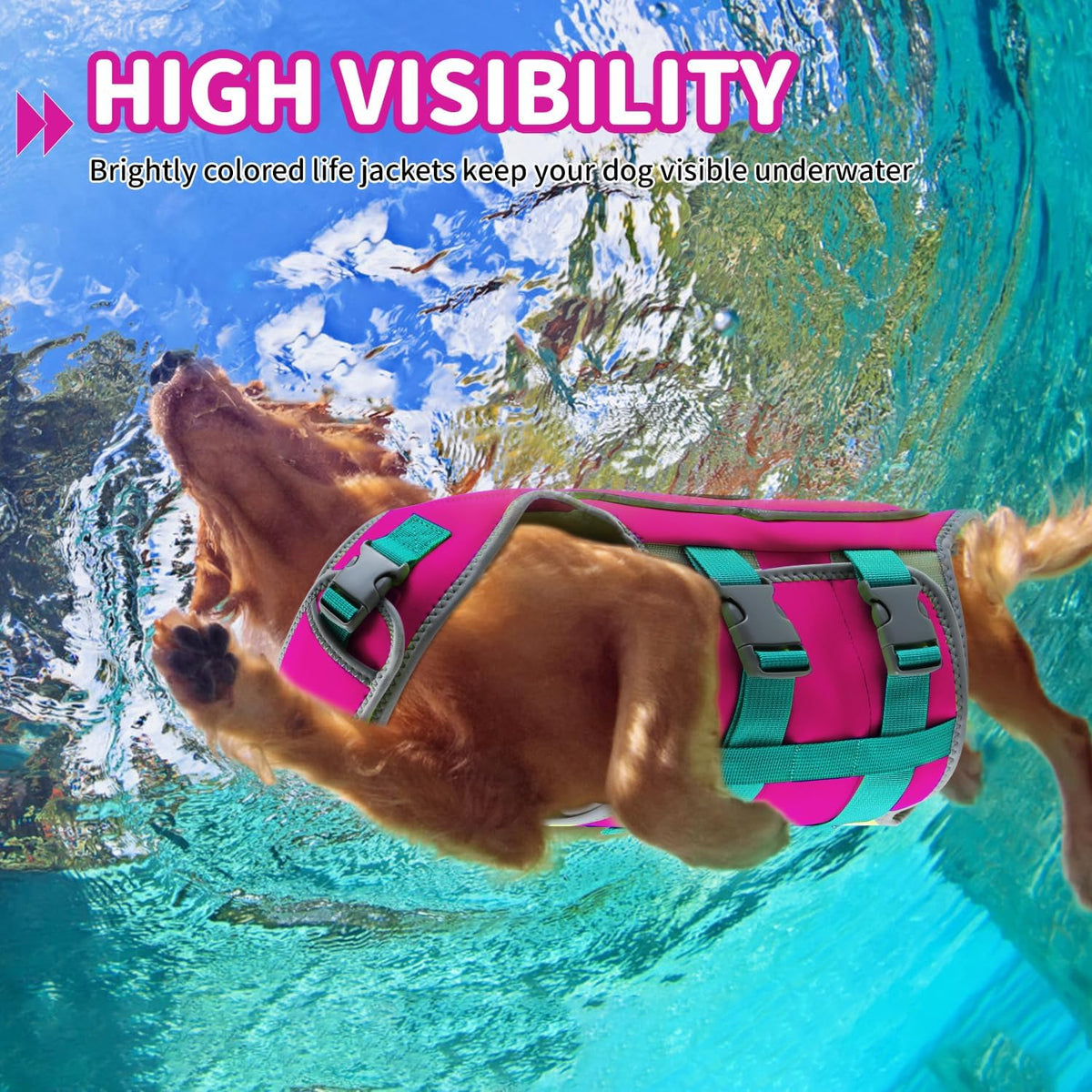 Dog Life Jacket, Good Visibility Pet Swimming Vest for Boating XL
