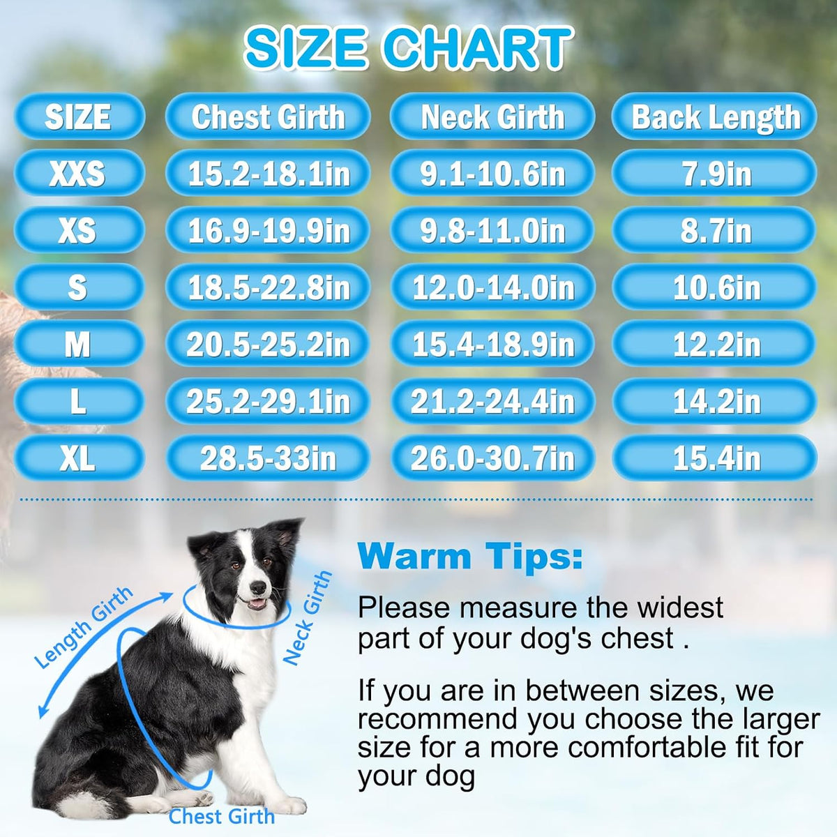 Dog Life Jacket, Good Visibility Pet Swimming Vest for Boating XL