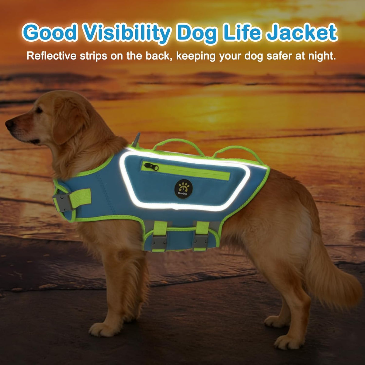 Dog Life Jacket, Good Visibility Pet Swimming Vest for Boating XL