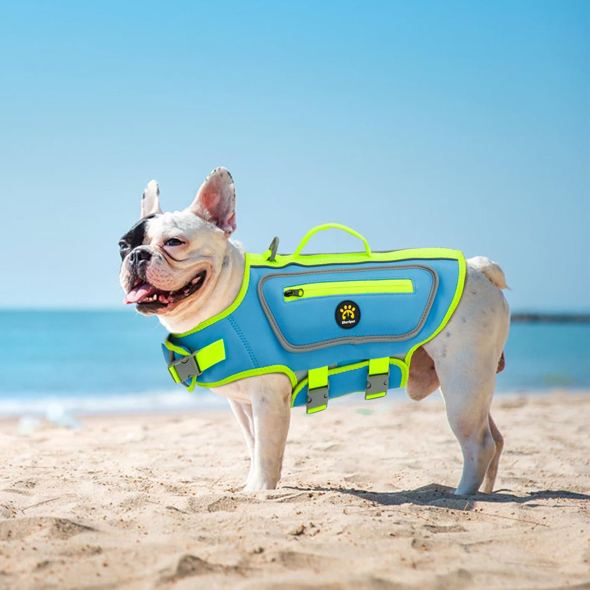 Dog Life Jacket, Good Visibility Pet Swimming Vest for Boating XL