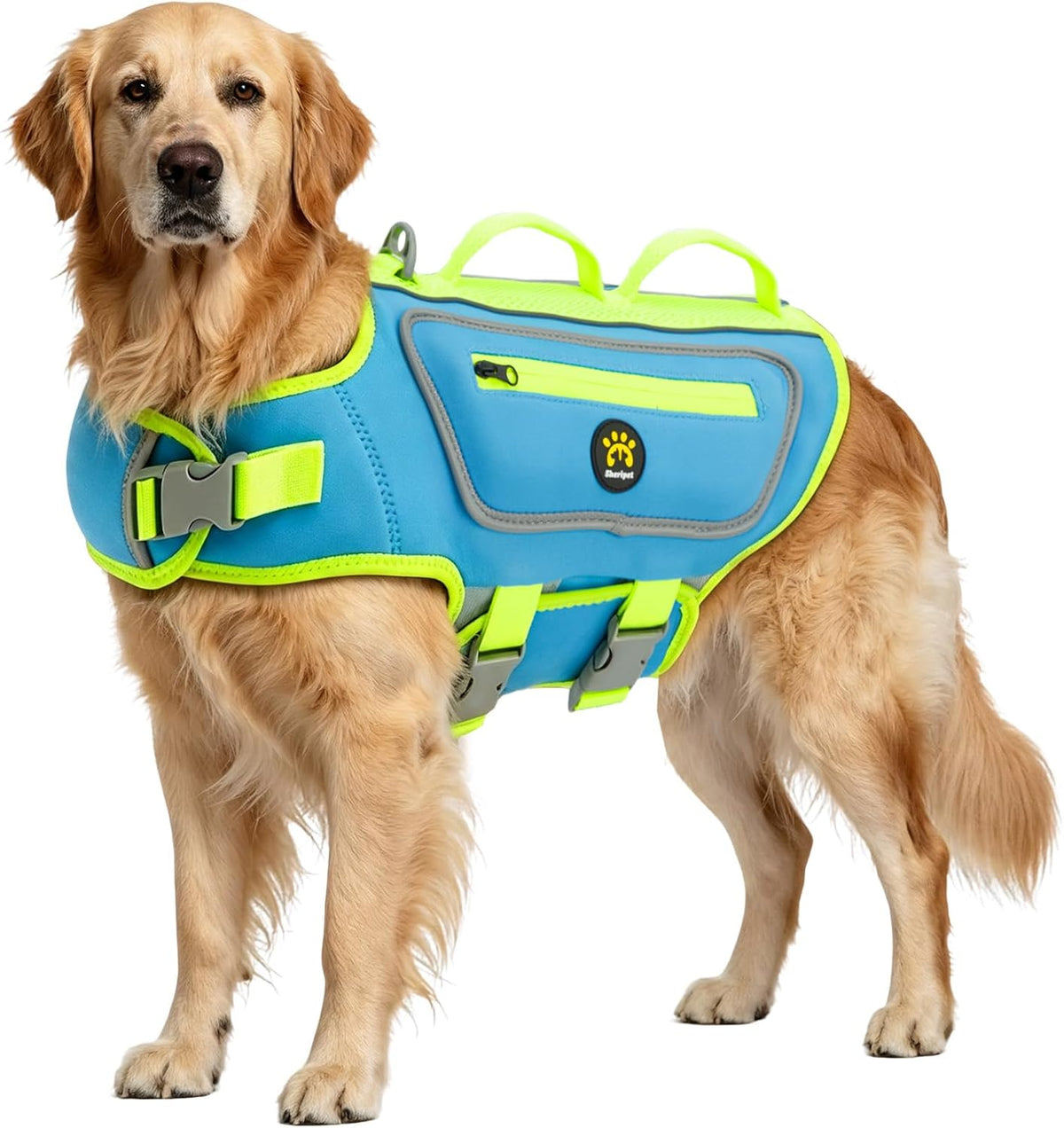 Dog Life Jacket, Good Visibility Pet Swimming Vest for Boating XL