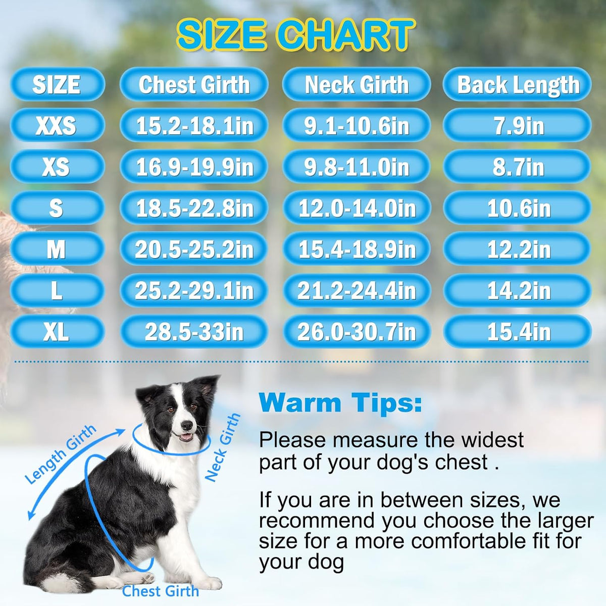 Dog Life Jacket, Good Visibility Pet Swimming Vest for Boating XL