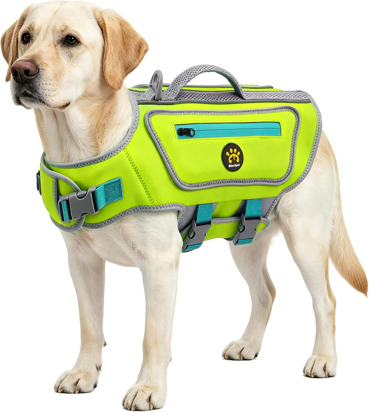 Dog Life Jacket, Good Visibility Pet Swimming Vest for Boating XL