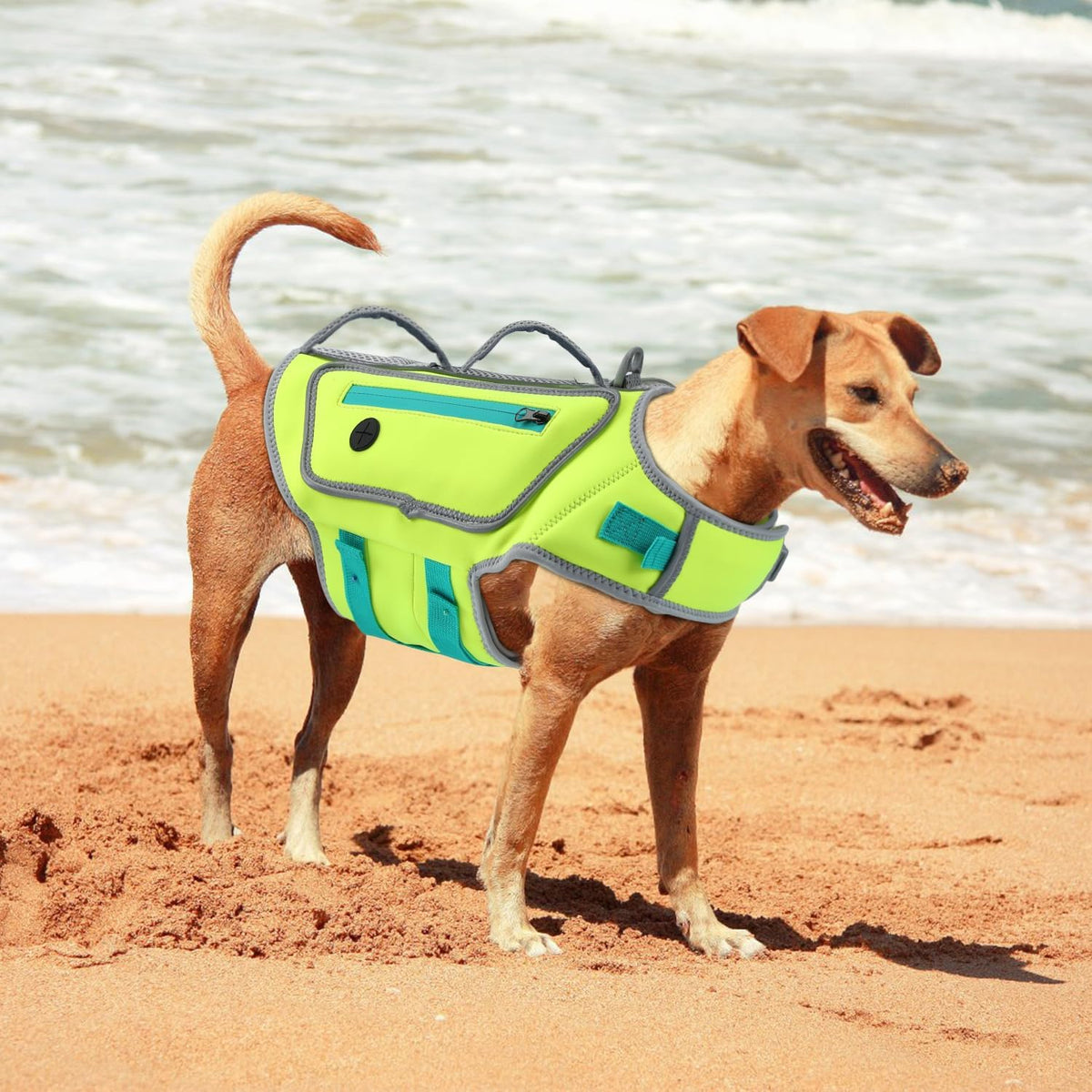 Dog Life Jacket, Good Visibility Pet Swimming Vest for Boating XL