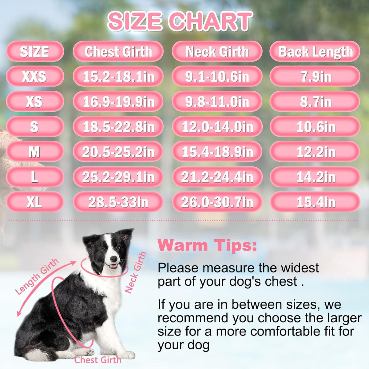 Dog Life Jacket, Good Visibility Pet Swimming Vest for Boating XL