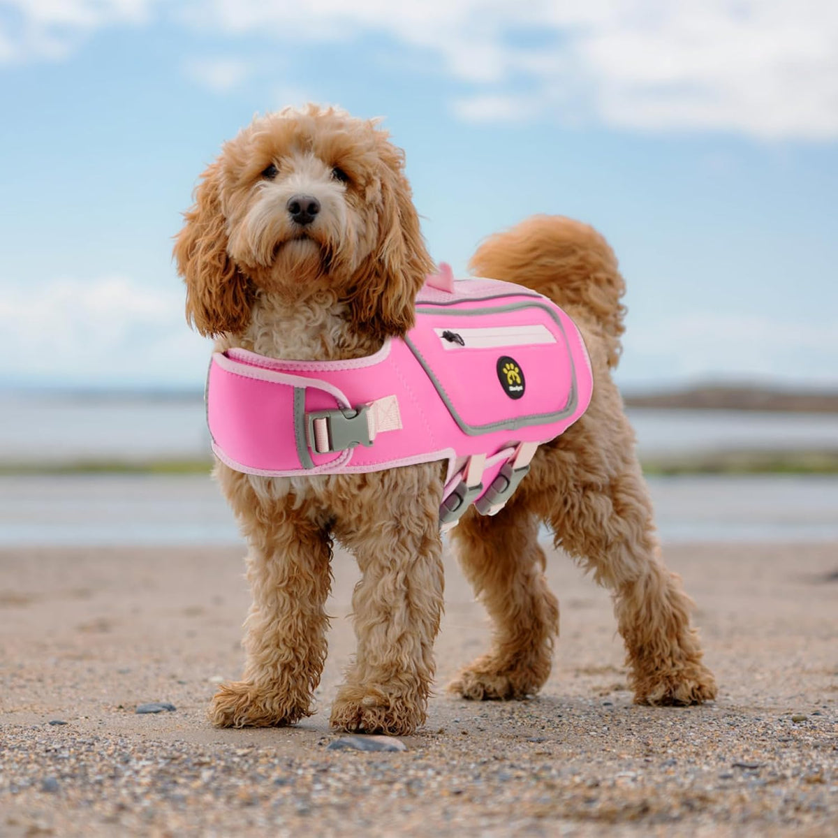 Dog Life Jacket, Good Visibility Pet Swimming Vest for Boating XL