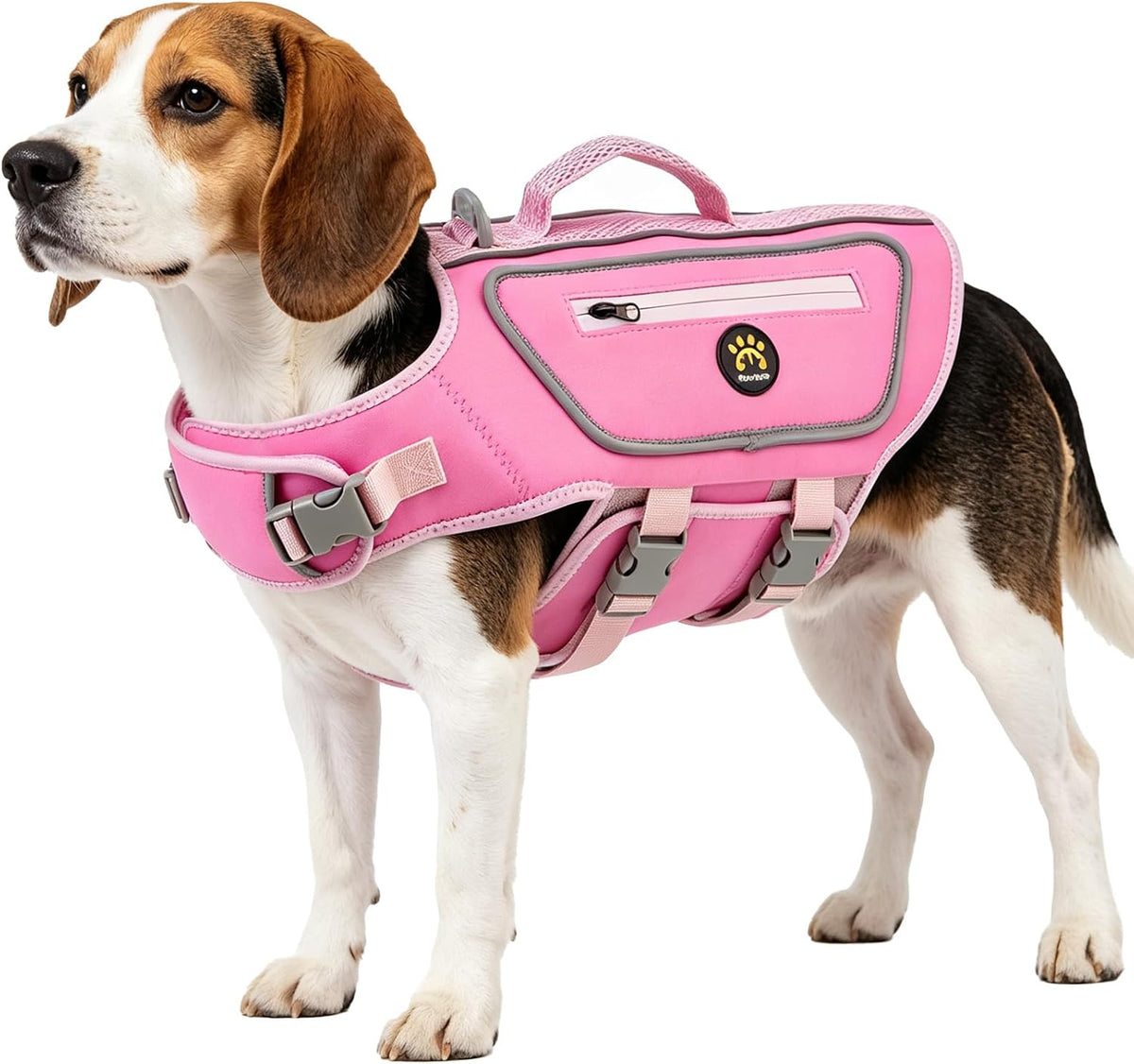 Dog Life Jacket, Good Visibility Pet Swimming Vest for Boating XL
