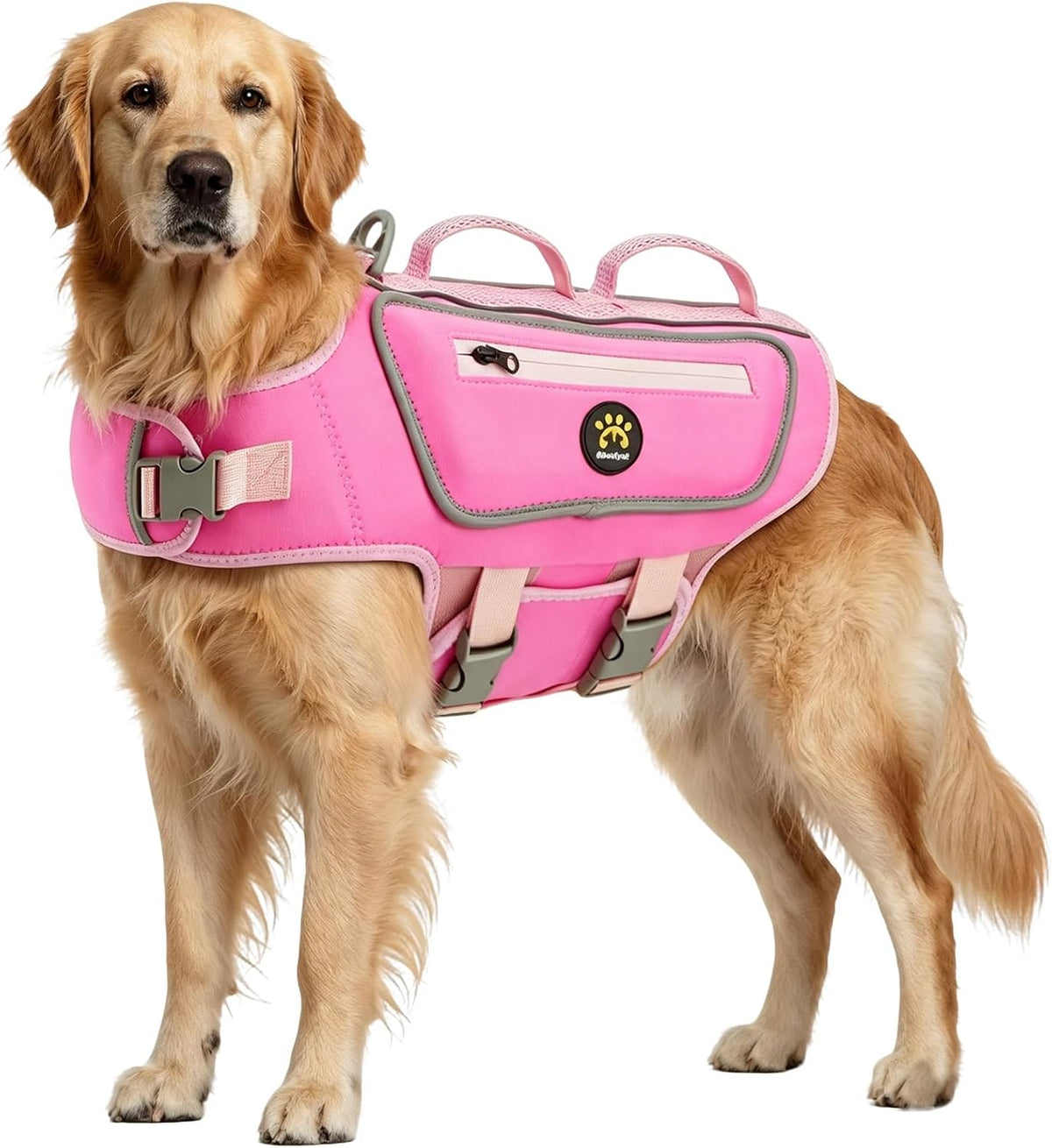 Dog Life Jacket, Good Visibility Pet Swimming Vest for Boating XL