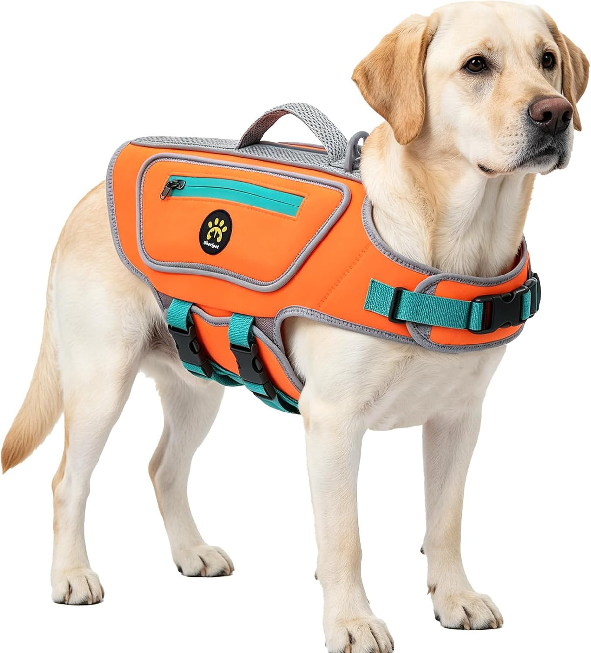 Dog Life Jacket, Good Visibility Pet Swimming Vest for Boating XL
