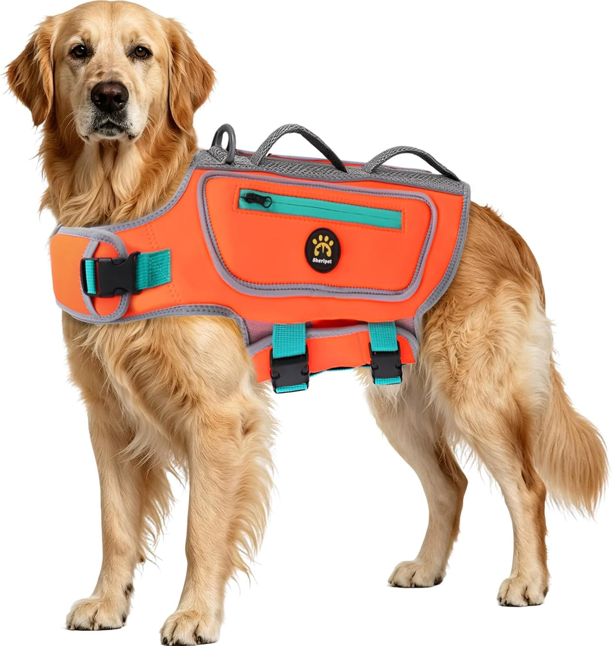 Dog Life Jacket, Good Visibility Pet Swimming Vest for Boating XL
