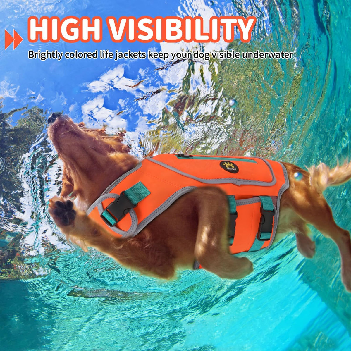Dog Life Jacket, Good Visibility Pet Swimming Vest for Boating XL