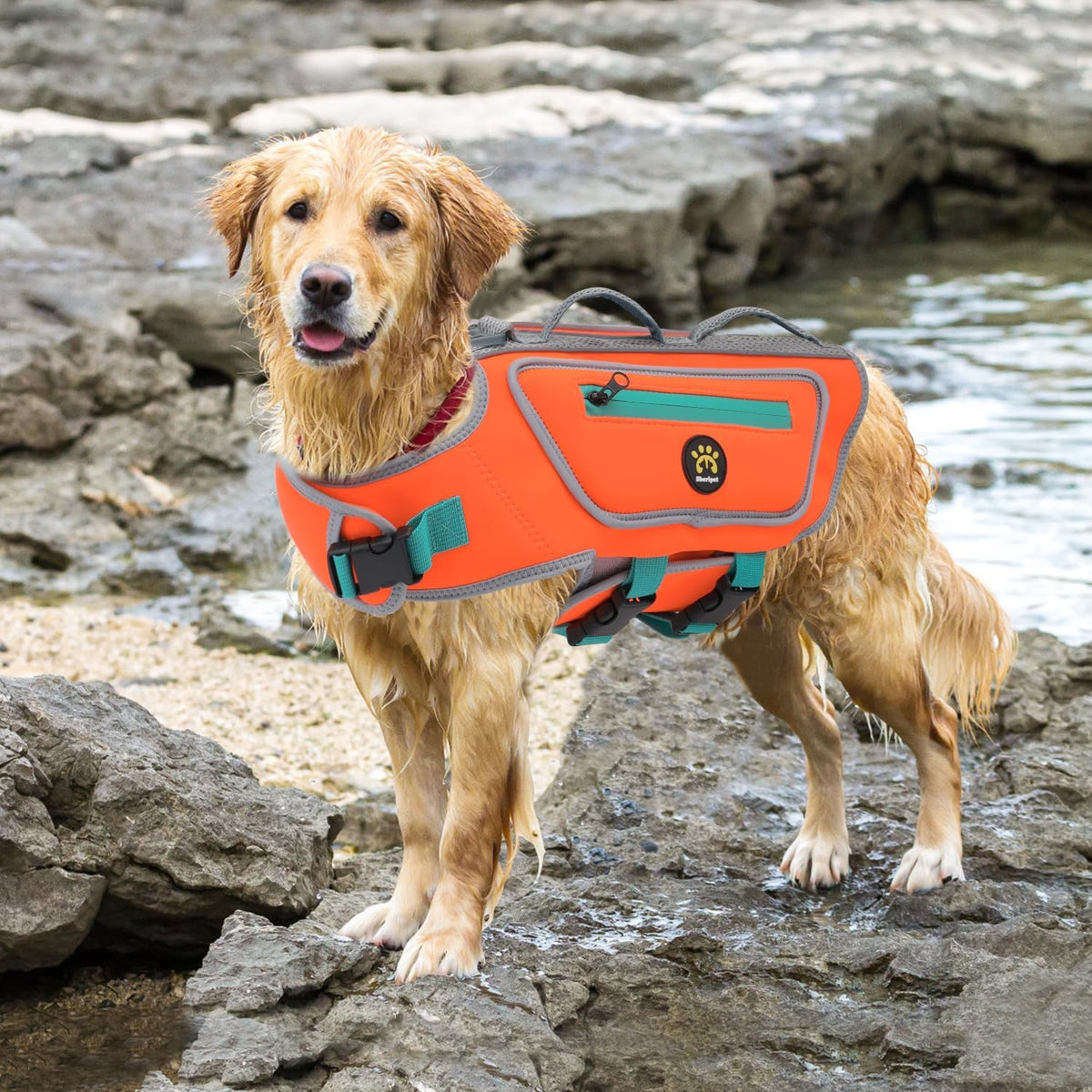 Dog Life Jacket, Good Visibility Pet Swimming Vest for Boating XL