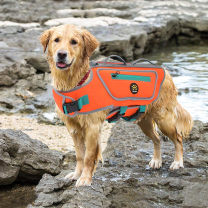 Dog Life Jacket, Good Visibility Pet Swimming Vest for Boating XL