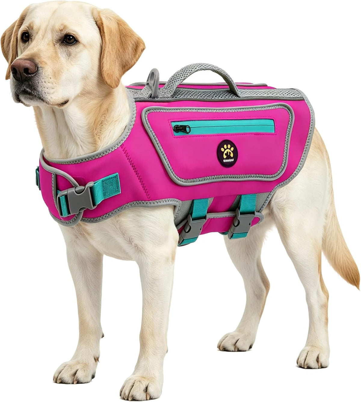 Dog Life Jacket, Good Visibility Pet Swimming Vest for Boating XL