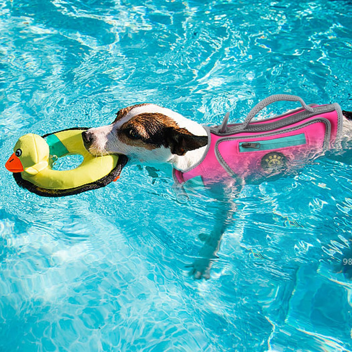 Dog Life Jacket, Good Visibility Pet Swimming Vest for Boating XL