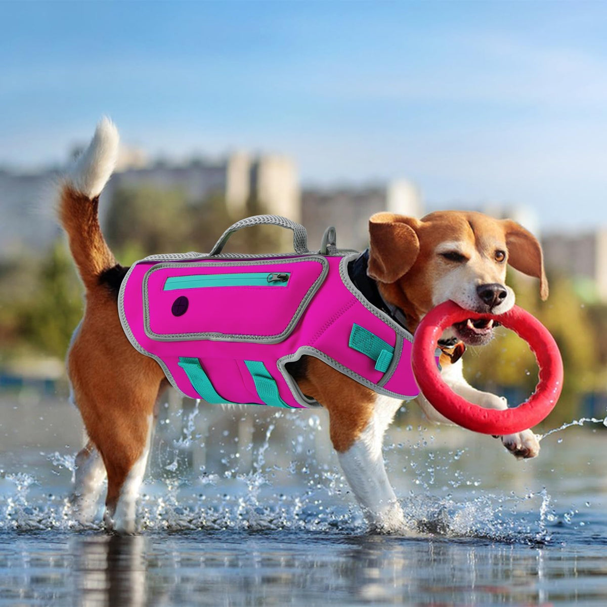 Dog Life Jacket, Good Visibility Pet Swimming Vest for Boating XL