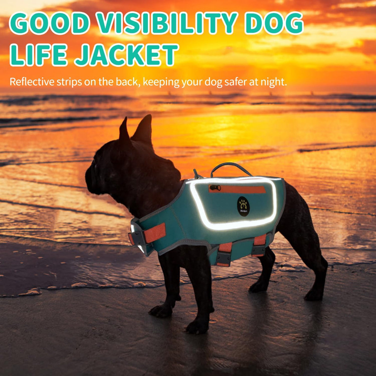 Dog Life Jacket, Good Visibility Pet Swimming Vest for Boating XL