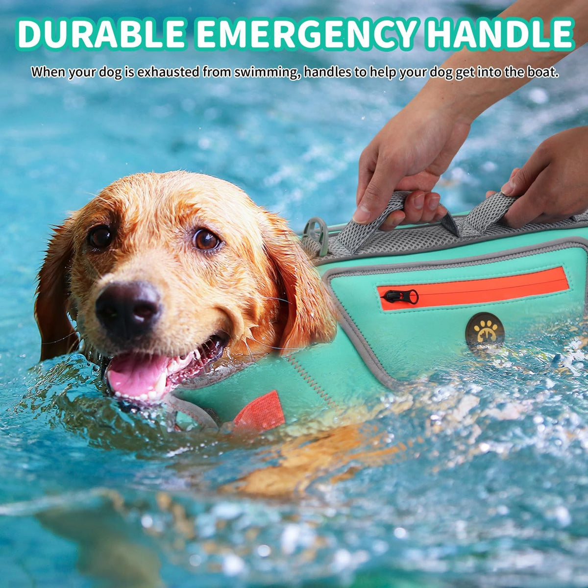 Dog Life Jacket, Good Visibility Pet Swimming Vest for Boating XL