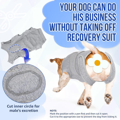 Dog Surgery Recovery Suit, Dog Onesie for Female Male Spay Neuter