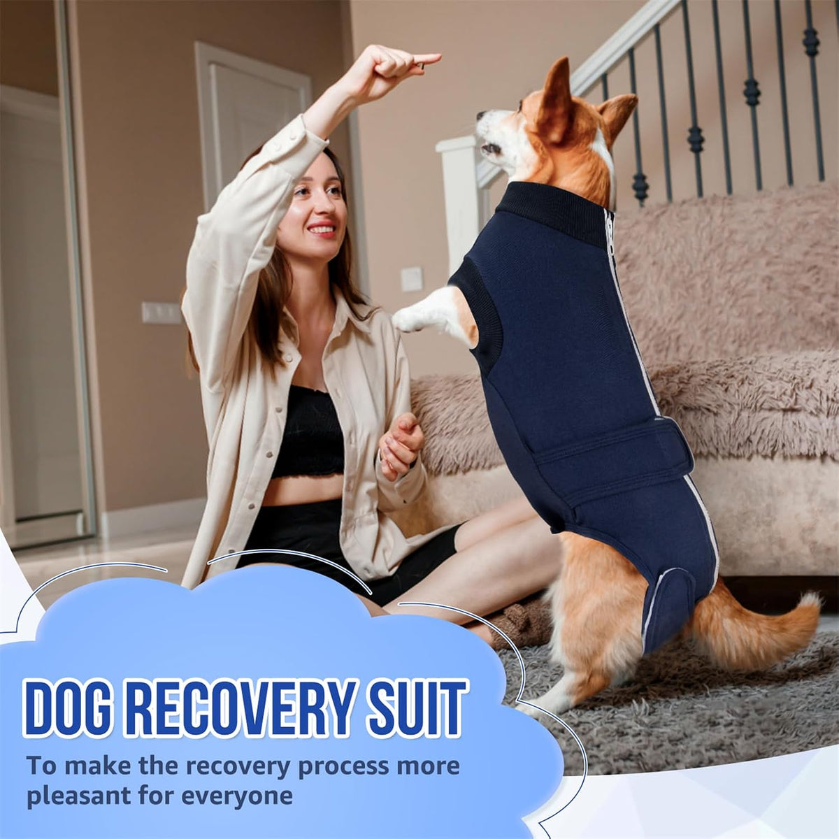 Dog Surgery Recovery Suit, Dog Onesie for Female Male Spay Neuter