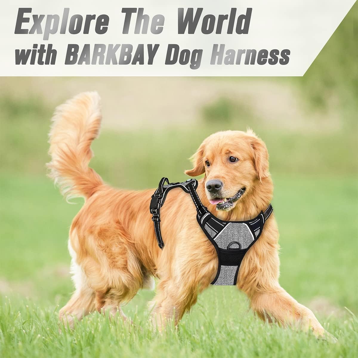 Dog Harness No Pull for Large Dogs Front Back Clips,Dog Vest | Soft Padded No Choke With Handle,Easy On&Off,Adjustable Reflective For Walking Training Running(Black,L)