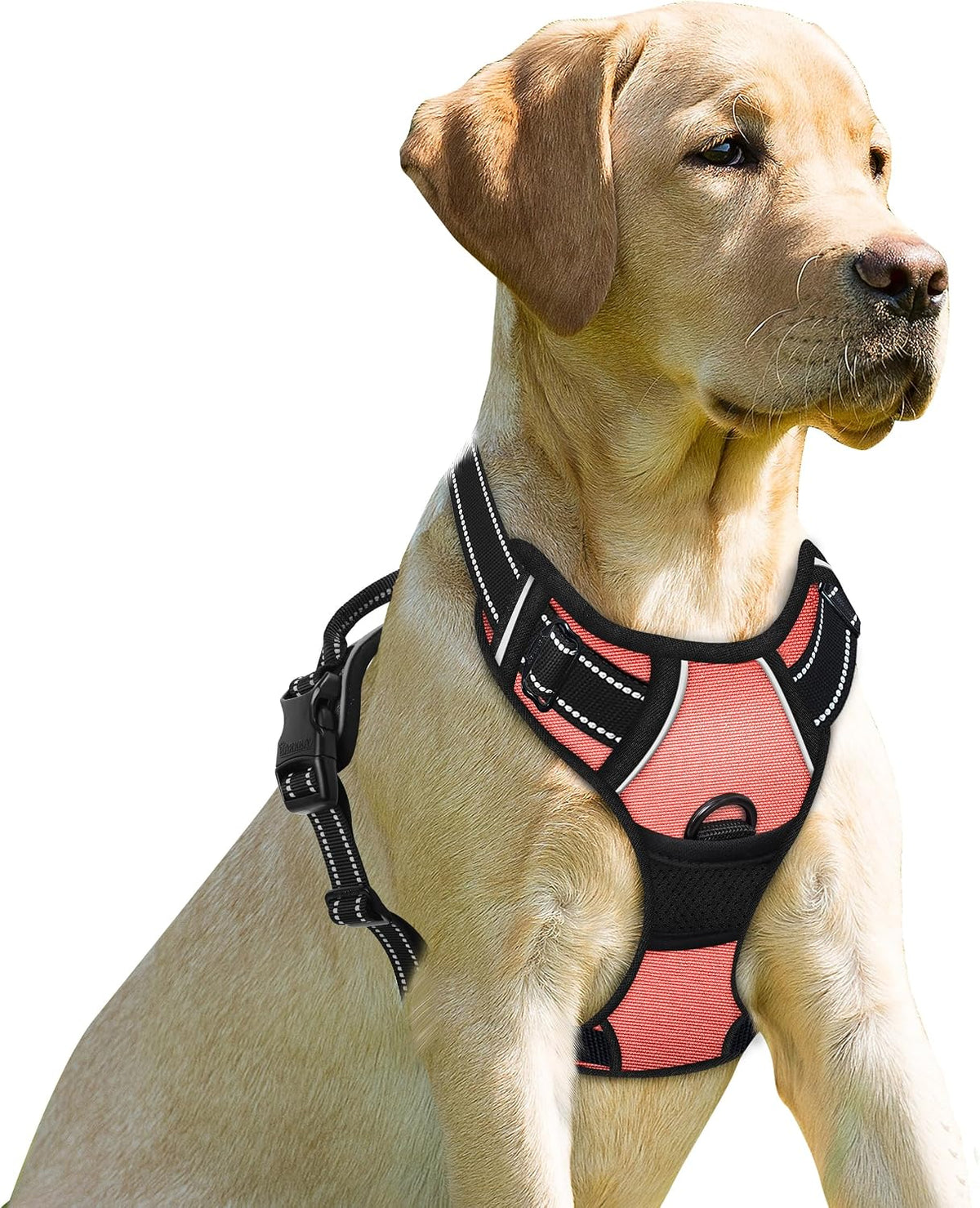 Dog Harness No Pull for Large Dogs Front Back Clips,Dog Vest | Soft Padded No Choke With Handle,Easy On&Off,Adjustable Reflective For Walking Training Running(Black,L)