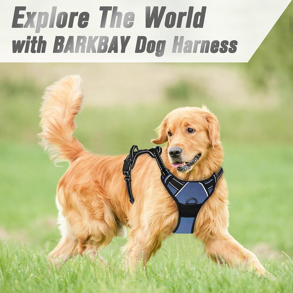 Dog Harness No Pull for Large Dogs Front Back Clips,Dog Vest | Soft Padded No Choke With Handle,Easy On&Off,Adjustable Reflective For Walking Training Running(Black,L)