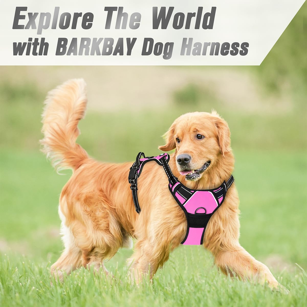 Dog Harness No Pull for Large Dogs Front Back Clips,Dog Vest | Soft Padded No Choke With Handle,Easy On&Off,Adjustable Reflective For Walking Training Running(Black,L)