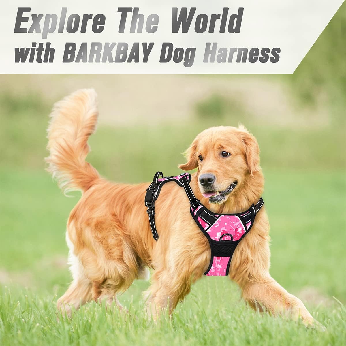 Dog Harness No Pull for Large Dogs Front Back Clips,Dog Vest | Soft Padded No Choke With Handle,Easy On&Off,Adjustable Reflective For Walking Training Running(Black,L)