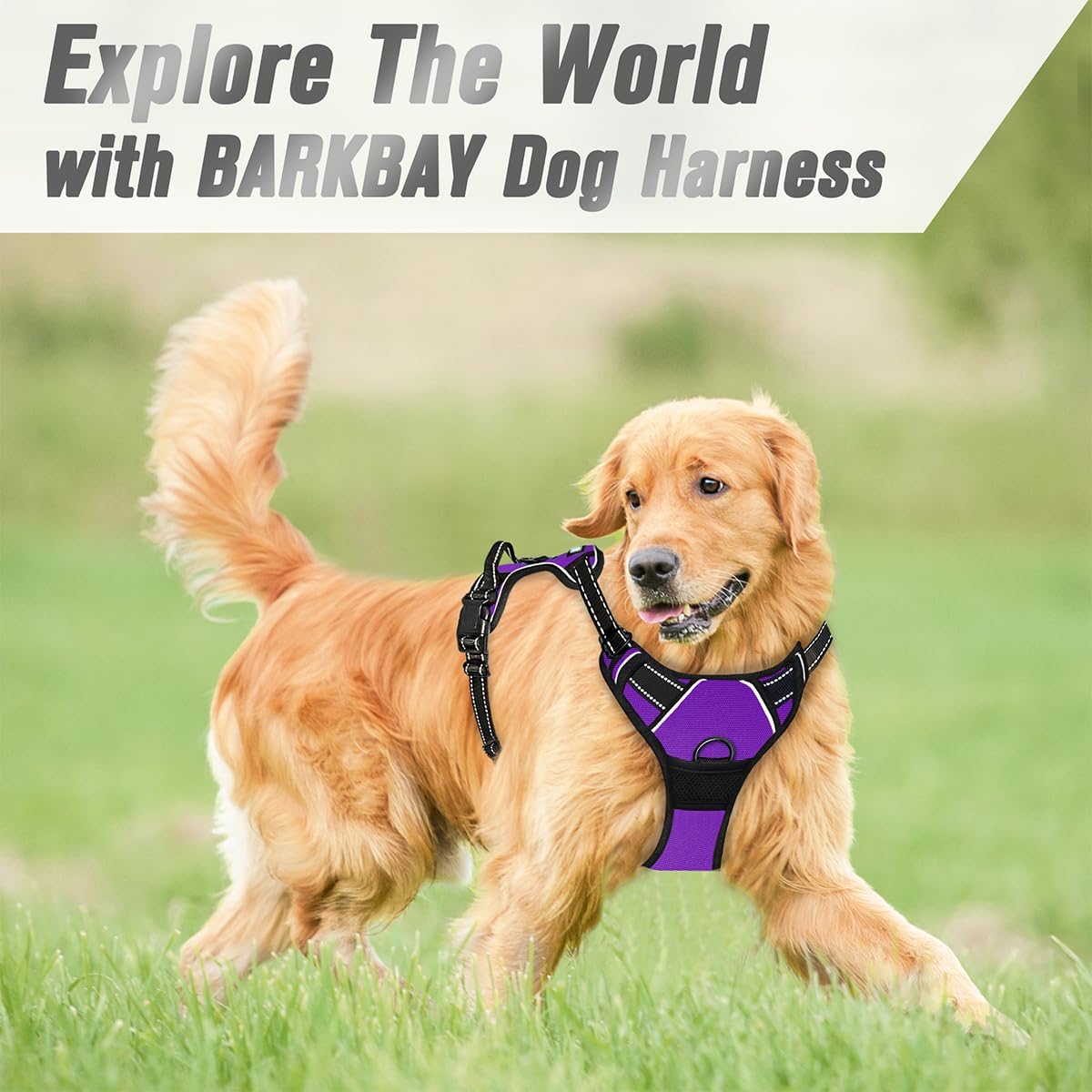 Dog Harness No Pull for Large Dogs Front Back Clips,Dog Vest | Soft Padded No Choke With Handle,Easy On&Off,Adjustable Reflective For Walking Training Running(Black,L)