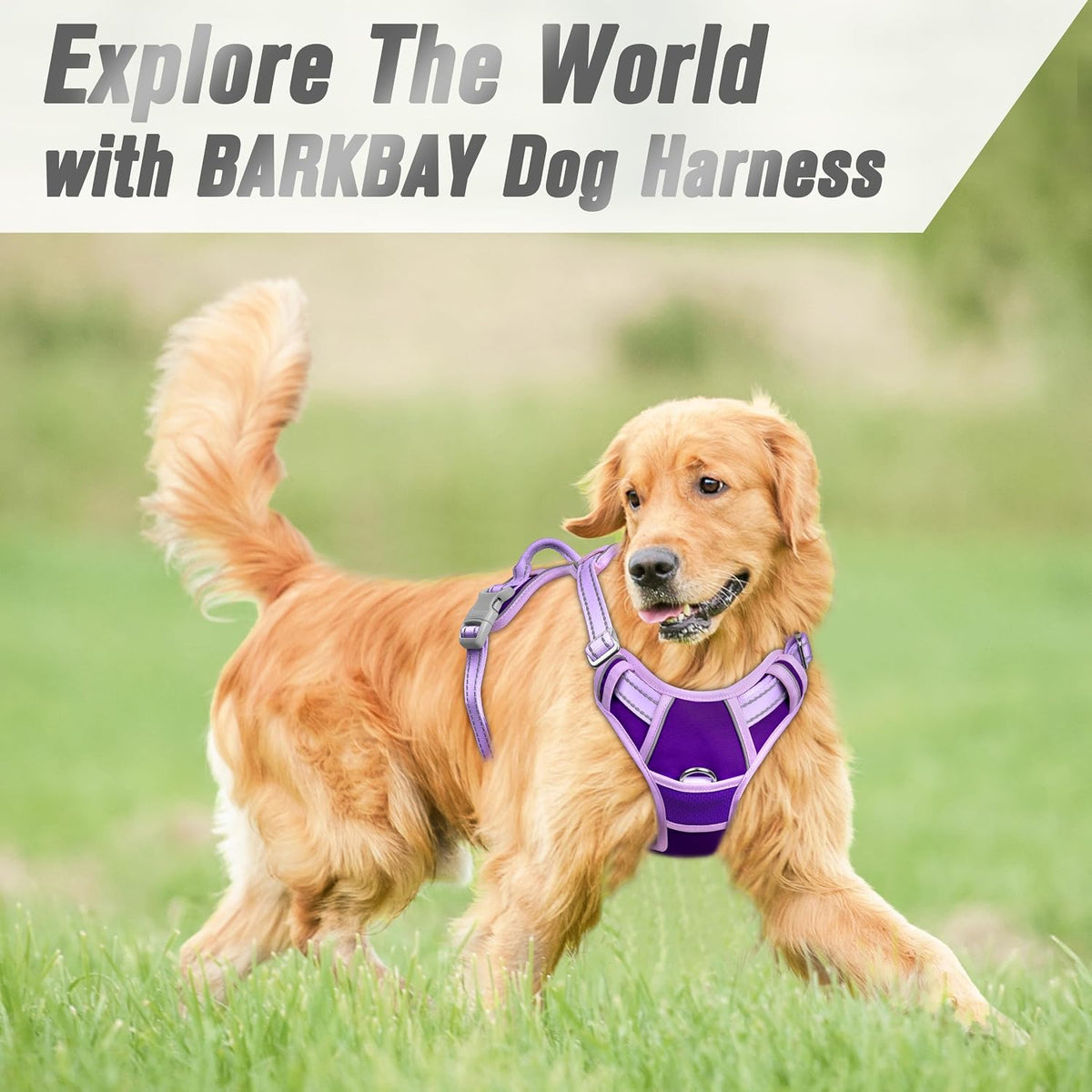 Dog Harness No Pull for Large Dogs Front Back Clips,Dog Vest | Soft Padded No Choke With Handle,Easy On&Off,Adjustable Reflective For Walking Training Running(Black,L)