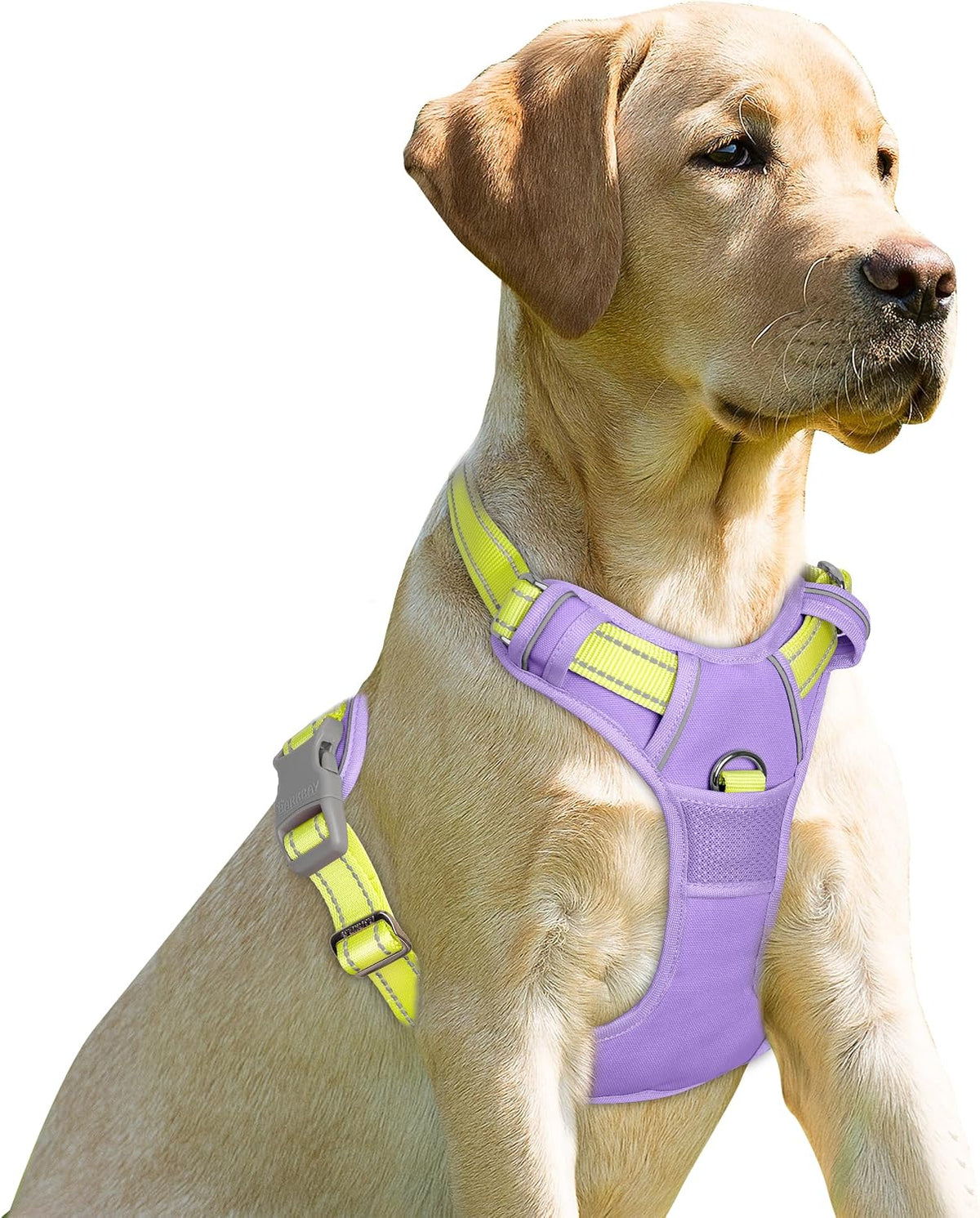 Dog Harness No Pull for Large Dogs Front Back Clips,Dog Vest | Soft Padded No Choke With Handle,Easy On&Off,Adjustable Reflective For Walking Training Running(Black,L)