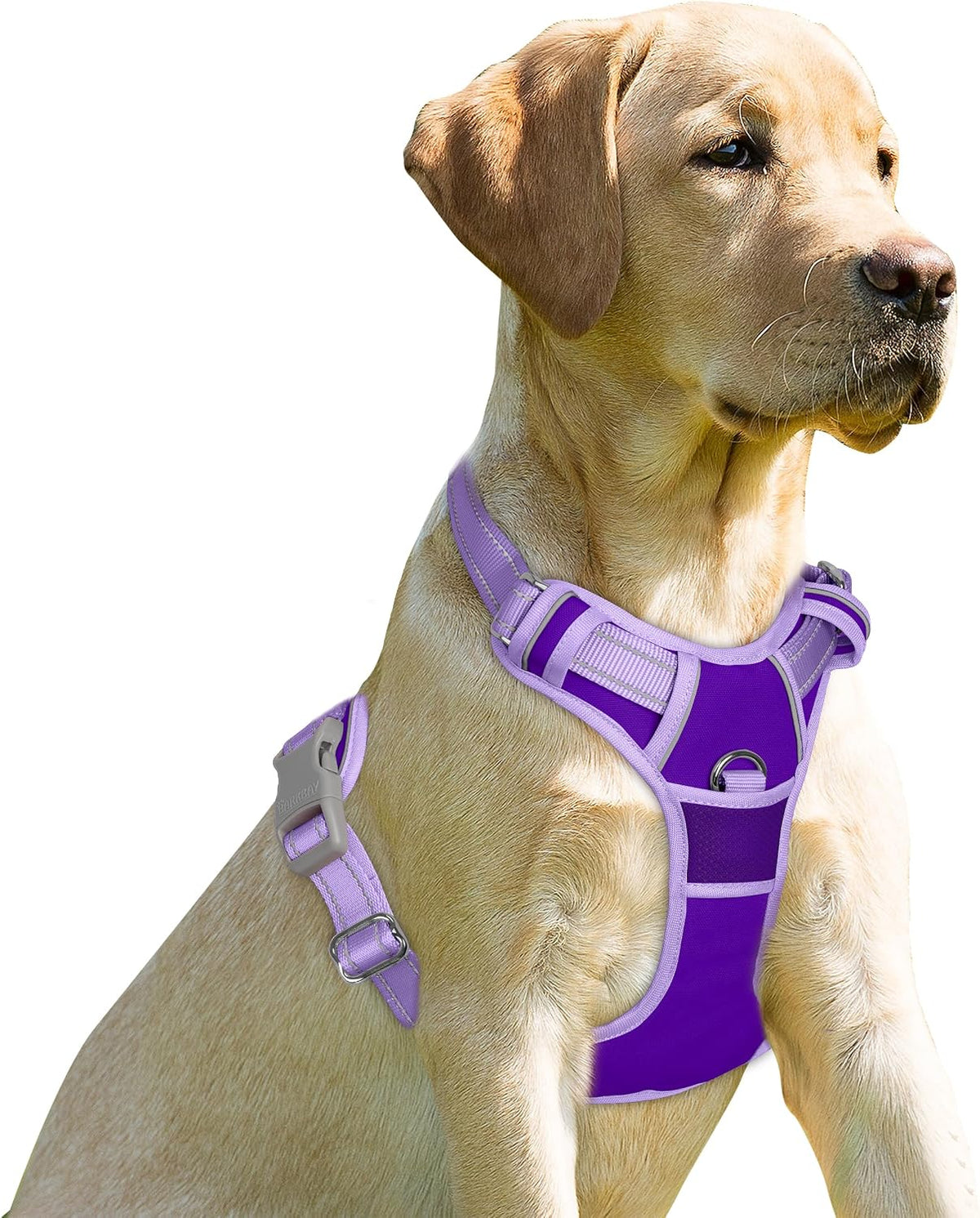 Dog Harness No Pull for Large Dogs Front Back Clips,Dog Vest | Soft Padded No Choke With Handle,Easy On&Off,Adjustable Reflective For Walking Training Running(Black,L)