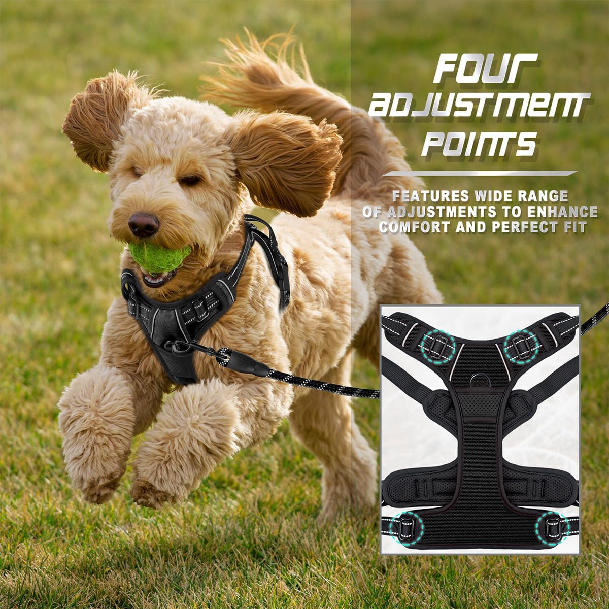 Dog Harness No Pull for Large Dogs Front Back Clips,Dog Vest | Soft Padded No Choke With Handle,Easy On&Off,Adjustable Reflective For Walking Training Running(Black,L)