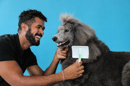 68540 Self-Cleaning Slicker Brush, Large, Green | Curved stainless-steel bristles reduce shedding up to 90%, pet grooming brush for all breeds