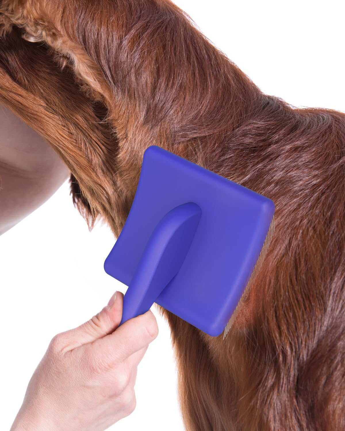 Dog Slicker Brush for Large Dogs, Professional Doodles Brush for Poodles, Goldendoodles and Labradoodles - Easy to Remove Tangles, Mats and Fluff - 3.8"x3.2" Head, 8" Wood Body