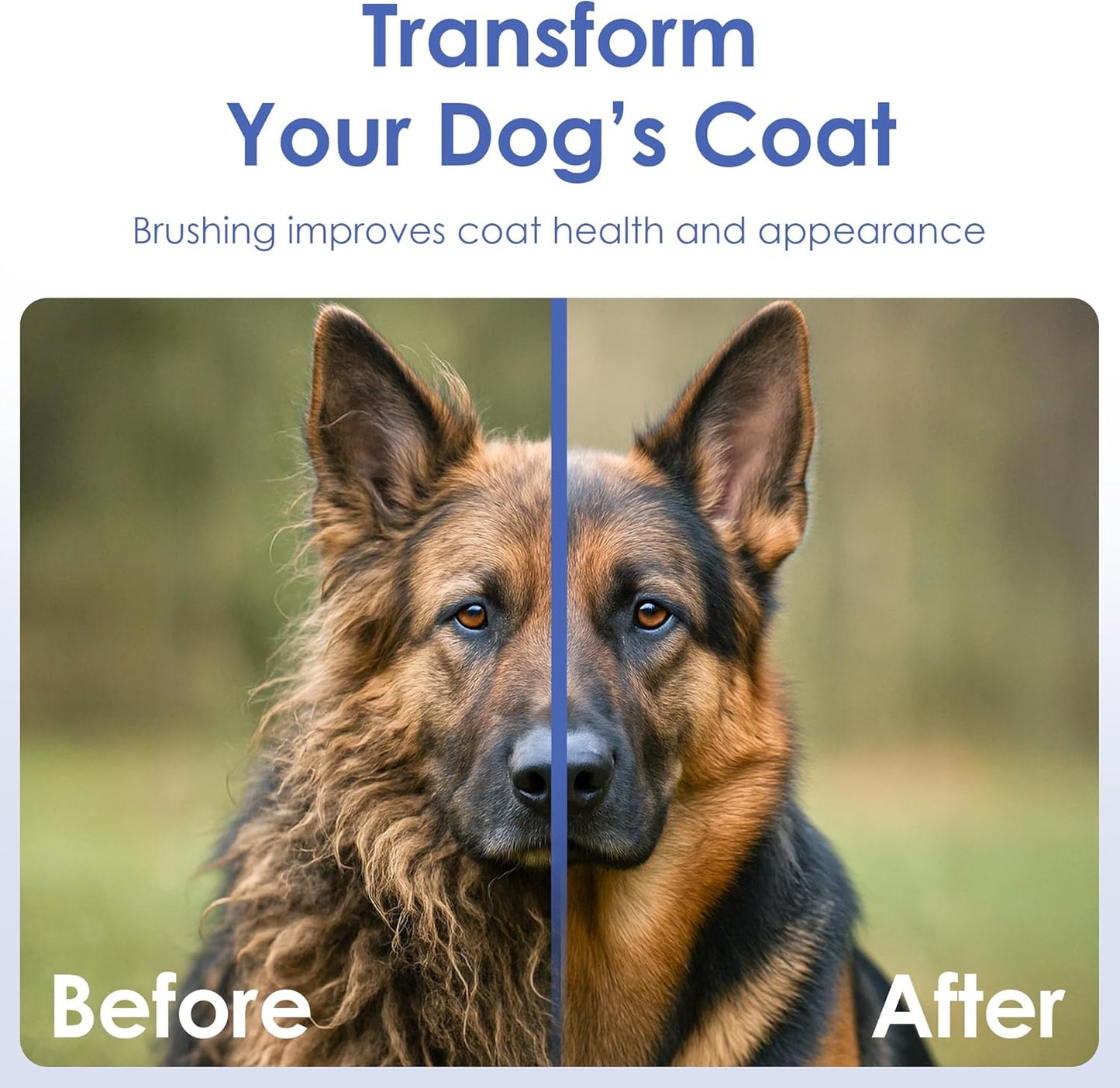 AKC - Dog & Cat Nail Clippers & Filer | Professional Pet Grooming Tool with Stainless Steel Blades | Safety Guard & Easy Grip Handle | Durable & Anti-Slip | Safe for Small, Medium & Large Pets