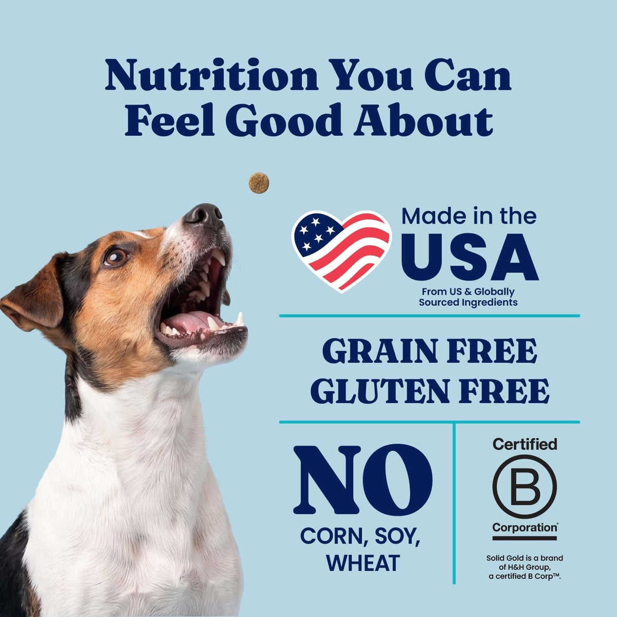 Solid Gold Small Breed Lamb Dry Dog Food, Grain Free, Small Bites, 3.75LB