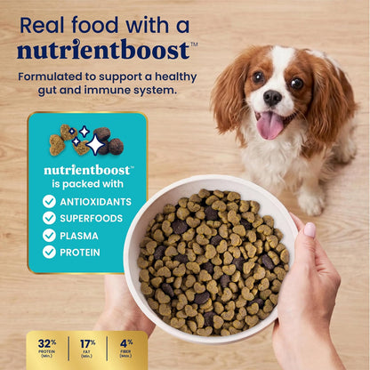 Solid Gold Small Breed Lamb Dry Dog Food, Grain Free, Small Bites, 3.75LB