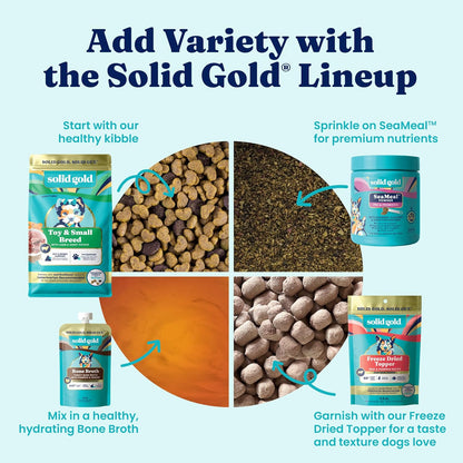 Solid Gold Small Breed Lamb Dry Dog Food, Grain Free, Small Bites, 3.75LB