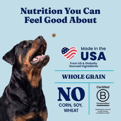 Solid Gold Small Breed Lamb Dry Dog Food, Grain Free, Small Bites, 3.75LB