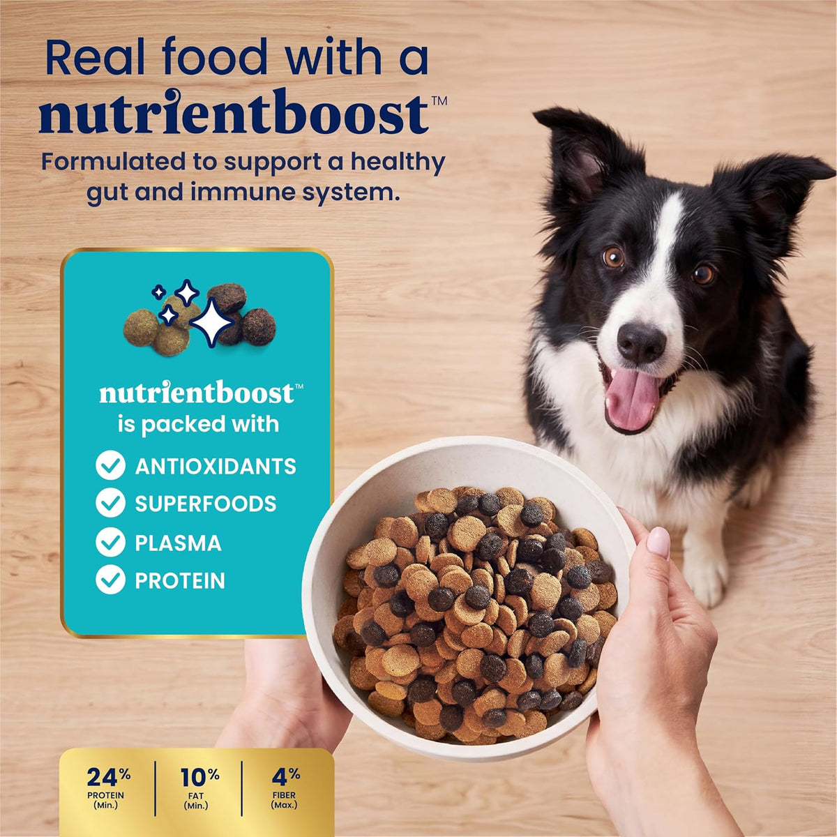 Solid Gold Small Breed Lamb Dry Dog Food, Grain Free, Small Bites, 3.75LB