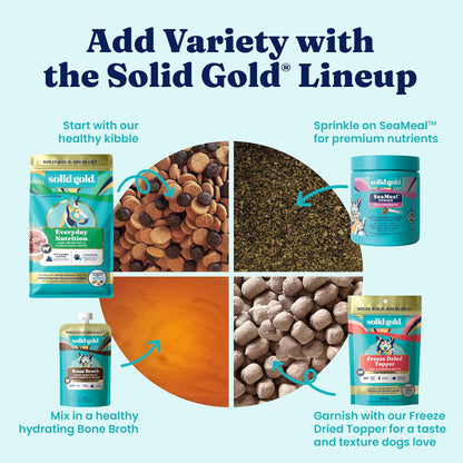 Solid Gold Small Breed Lamb Dry Dog Food, Grain Free, Small Bites, 3.75LB