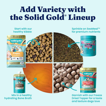 Solid Gold Small Breed Lamb Dry Dog Food, Grain Free, Small Bites, 3.75LB