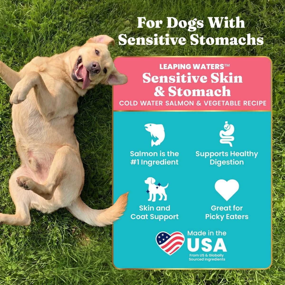 Solid Gold Small Breed Lamb Dry Dog Food, Grain Free, Small Bites, 3.75LB
