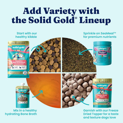 Solid Gold Small Breed Lamb Dry Dog Food, Grain Free, Small Bites, 3.75LB