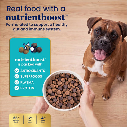 Solid Gold Small Breed Lamb Dry Dog Food, Grain Free, Small Bites, 3.75LB