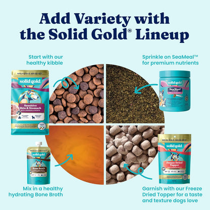 Solid Gold Small Breed Lamb Dry Dog Food, Grain Free, Small Bites, 3.75LB